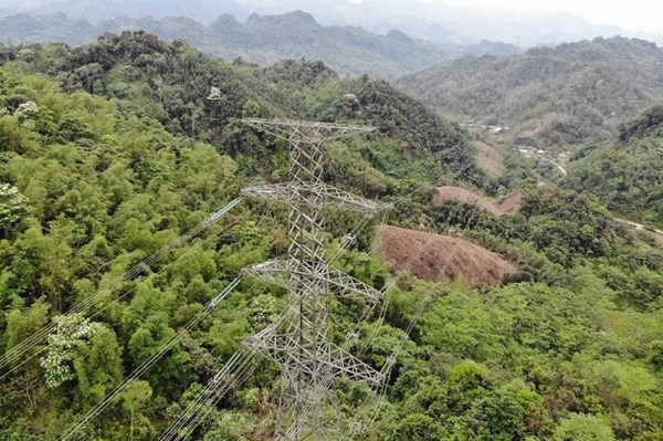 Đảm bảo hành lang an toàn lưới điện cần sự đồng hành của người dân