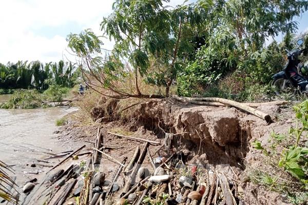 Sạt lở nguy hiểm gây nguy cơ vỡ đê tại Cù Lao Dung, Sóc Trăng