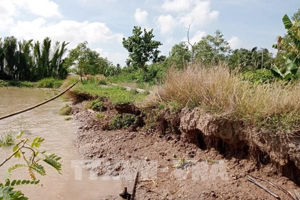 Cà Mau: Xử lý ngay các sự cố sạt lở, sụt lún, đảm bảo an toàn đê biển