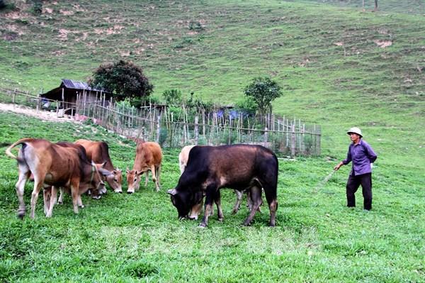 Hướng thoát nghèo cho đồng bào vùng cao biên giới