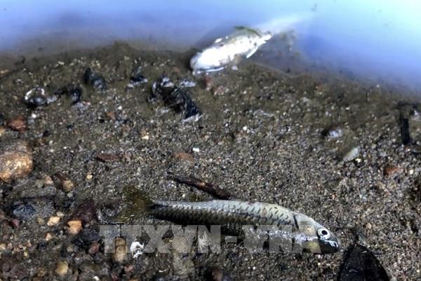 Quảng Ngãi: Sự cố vỡ đường ống làm nước thải tràn ra kênh tiêu thoát