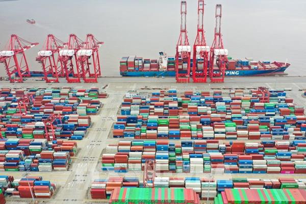 Cảnh báo tình hình tắc nghẽn tại cảng Thượng Hải, Trung Quốc