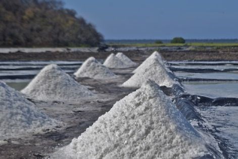 Độc đáo “vàng trắng” dành cho ẩm thực của Mexico