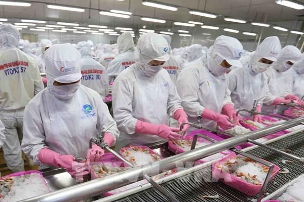 Doanh nghiệp chớp cơ hội xuất khẩu sang Brazil