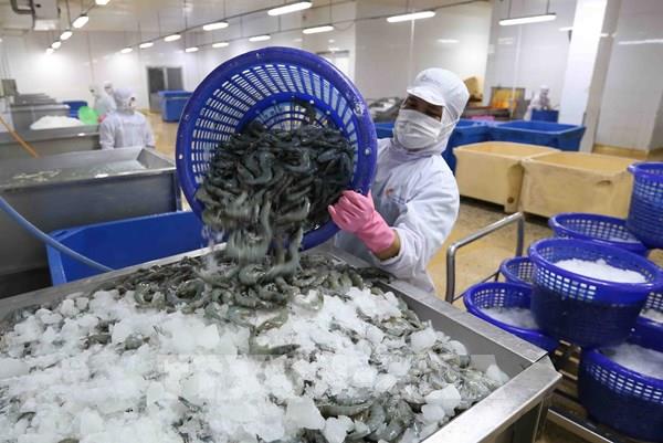 Cơ hội đẩy mạnh xuất khẩu sang thị trường Kuwait