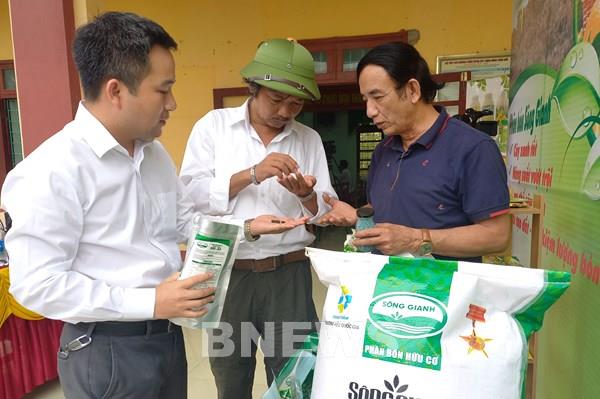 Hiệu quả từ liên kết sản xuất lúa-gạo hữu cơ ST25 tại Quảng Bình