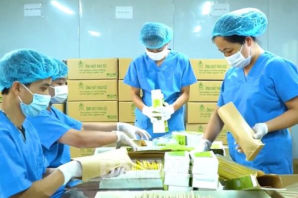 "Ống hút rau củ ECOS" - sản phẩm thân thiện môi trường