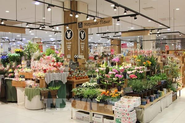 Hoa Việt Nam bắt đầu có chỗ đứng ở thị trường Nhật Bản