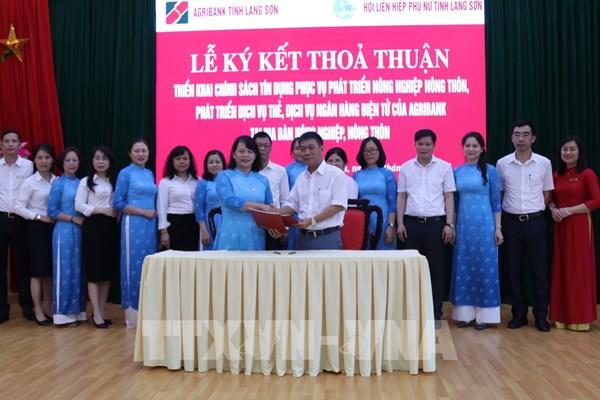 Triển khai chính sách tín dụng phục vụ phát triển nông nghiệp nông thôn