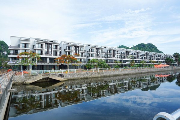 Vinaconex triển khai nhiều công trình trọng điểm tại dự án Cát Bà - Amatina