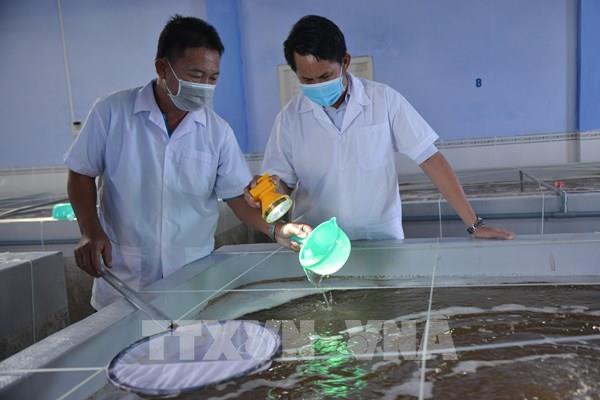 Ứng dụng công nghệ cao trong phát triển nguồn giống thủy sản