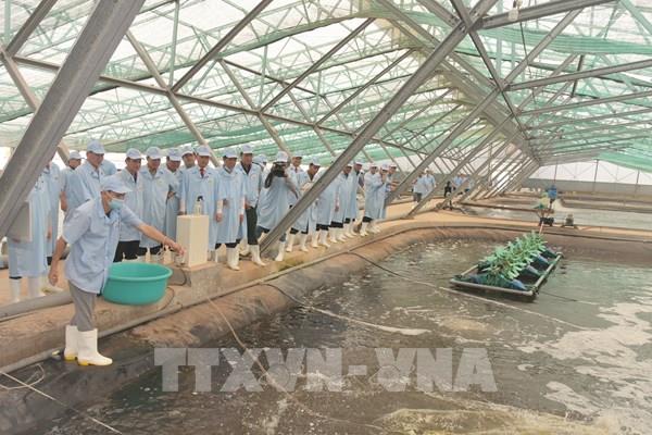 Bạc Liêu: Khuyến khích doanh nghiệp thủy sản liên kết sản xuất quy mô lớn