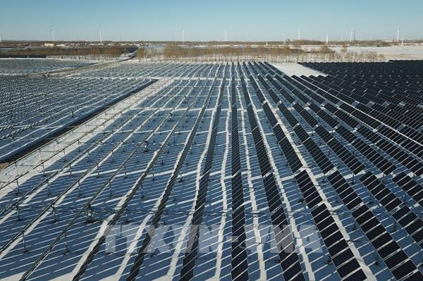 IEA dự báo năng lượng tái tạo tăng kỷ lục trong năm 2022