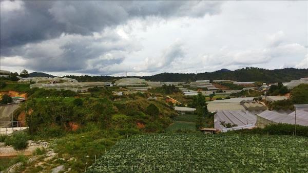 “Loạn” phân lô bán nền