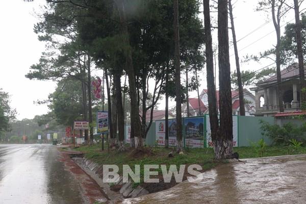 Kon Tum thu hồi hai dự án quá thời hạn khảo sát