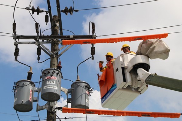 Đại biểu Quốc hội các tỉnh phía Nam: Ngành điện lực có nhiều đóng góp tích cực tại địa phương	