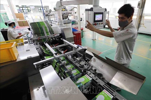 Bóng đèn phích nước Rạng Đông tạm ứng cổ tức tiền mặt tỷ lệ 25%