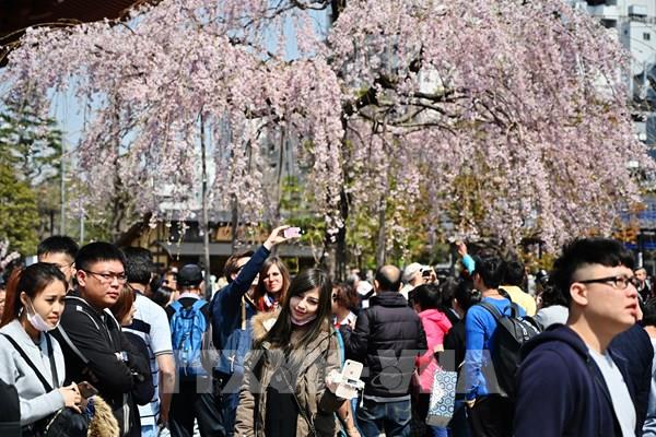 Nhật Bản thí điểm mở cửa du lịch trong tháng 5