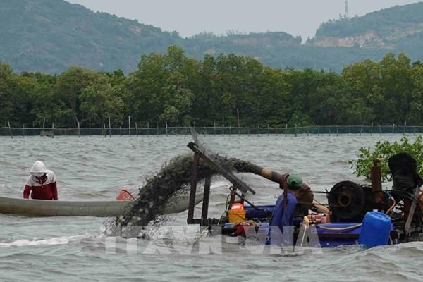 Bình Định: Khai thác thủy sản bằng máy bơm hút cát trên đầm Thị Nại ảnh hưởng môi trường