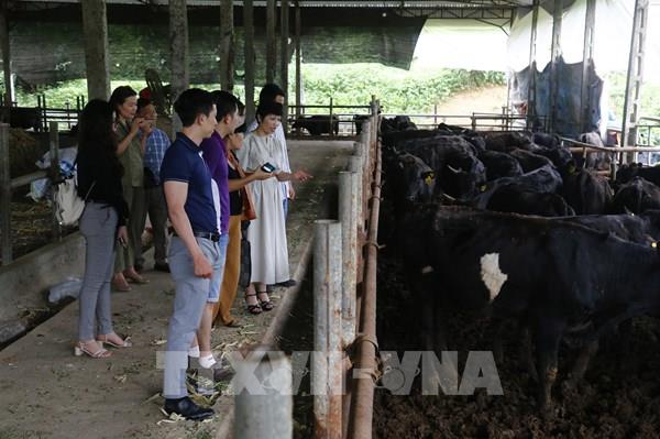Tạo cầu nối cho các sản phẩm nông nghiệp sạch