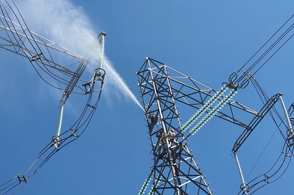 Kỷ niệm 132 năm Ngày sinh Chủ tịch Hồ Chí Minh: EVN làm theo lời Bác