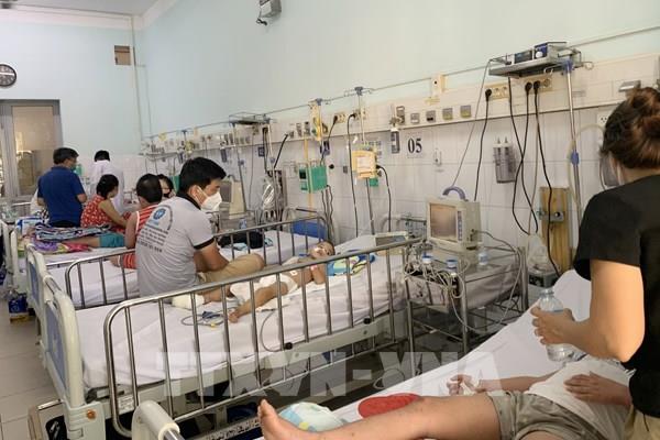 Thành phố Hồ Chí Minh: 29 trường hợp tử vong do sốt xuất huyết​