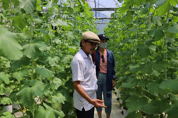 Quảng Ninh đồng bộ chính sách hỗ trợ phát triển nông nghiệp