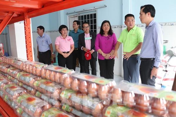 Ra mắt kho lưu trữ thực phẩm cho người khó khăn tại khu vực ĐBSCL