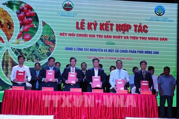 Kết nối chuỗi giá trị nông sản Tây Nguyên