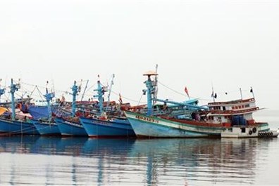 Khắc phục "thẻ vàng" IUU: Cộng đồng nghề cá cam kết chống khai thác bất hợp pháp