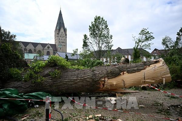 Đức cảnh báo thời tiết khắc nghiệt ở các bang miền Tây