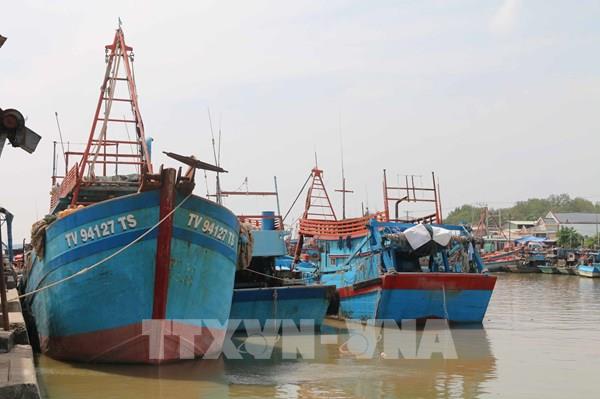 Trà Vinh sản lượng đánh bắt thủy sản giảm gần 12.000 tấn