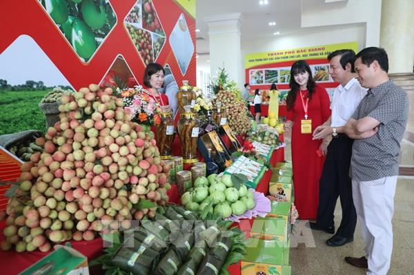 Năm 2022, Bắc Giang dự kiến xuất khẩu khoảng 72 nghìn tấn vải