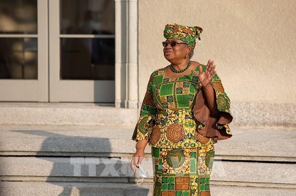 Giám đốc WTO: Chông chênh tiến trình đạt thỏa thuận thương mại toàn cầu