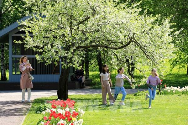 Moskva rực rỡ mùa hoa