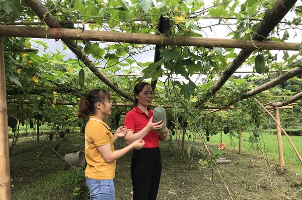 WinCommerce thúc đẩy tiêu thụ nông sản Bắc Giang, Bắc Kạn