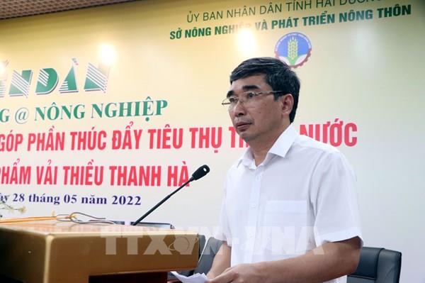 Vải thiều Hải Dương trước những cơ hội lớn khi nhu cầu trên thế giới tăng