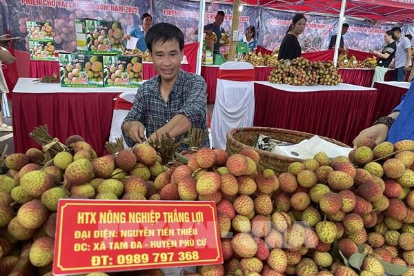 Khai mạc phiên chợ vải lai chín sớm tại Hưng Yên