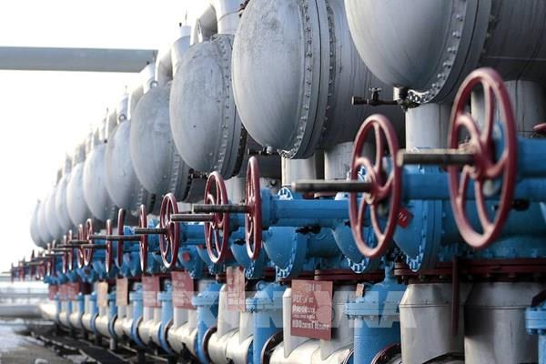 Nga sẽ tìm kiếm các khách hàng mới sau lệnh cấm nhập khẩu dầu mỏ của EU