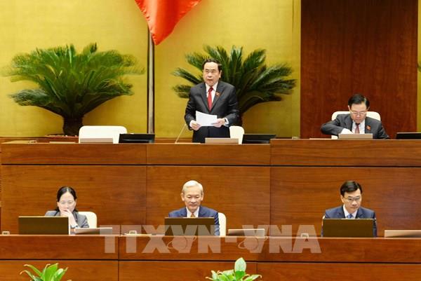 Hệ lụy từ việc thắng thầu bỏ cọc, quây thầu, vây thầu 