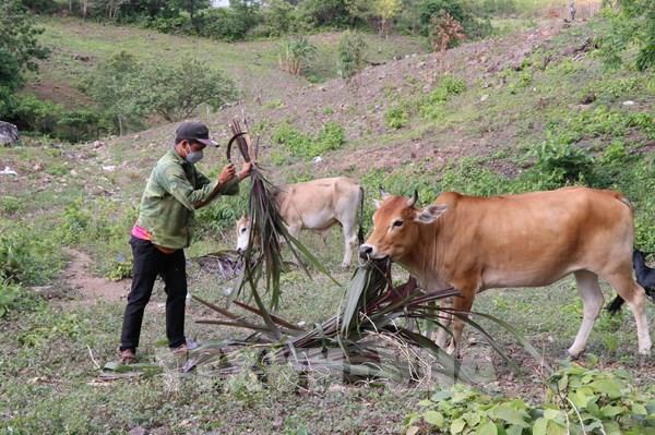 Tín dụng chính sách - Bệ đỡ giúp người nghèo vươn lên làm chủ cuộc sống