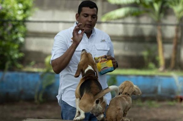 Ngôi trường đặc biệt cho chó khiếm khuyết ở Nicaragua