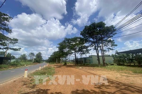 Sẽ cưỡng chế gần 100 hộ dân lấn chiếm đất rừng tại Đắk Nông