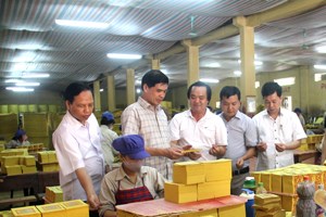 CAP trả cổ tức năm 2021 bằng tiền mặt với tỷ lệ 50% 