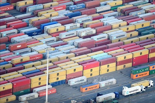 Lượng nhập khẩu container rỗng của Saudi Arabia tăng hơn 3 lần 