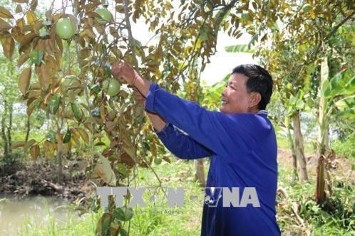 Danh mục đề tài khoa học công nghệ trong nông nghiệp đặt hàng từ năm 2023