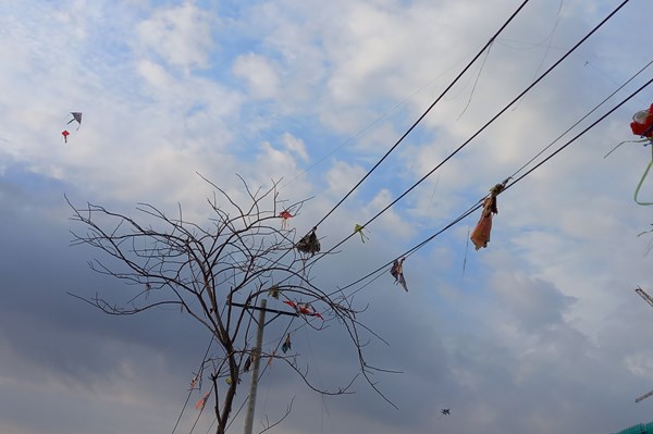 Cảnh báo nguy cơ mất an toàn điện do thả diều