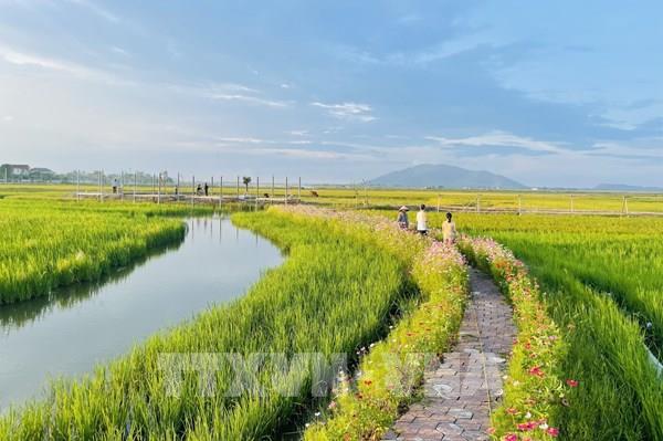 Đưa nông nghiệp đô thị thành phố Hà Tĩnh phát triển xứng tầm