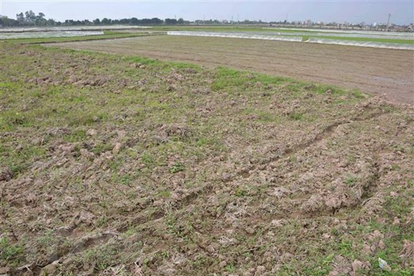 Khi nào cần làm thủ tục đăng ký biến động đất đai?