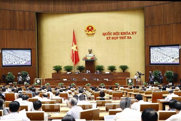 Phương án nào cho thẩm quyền cấp phép hành nghề y?